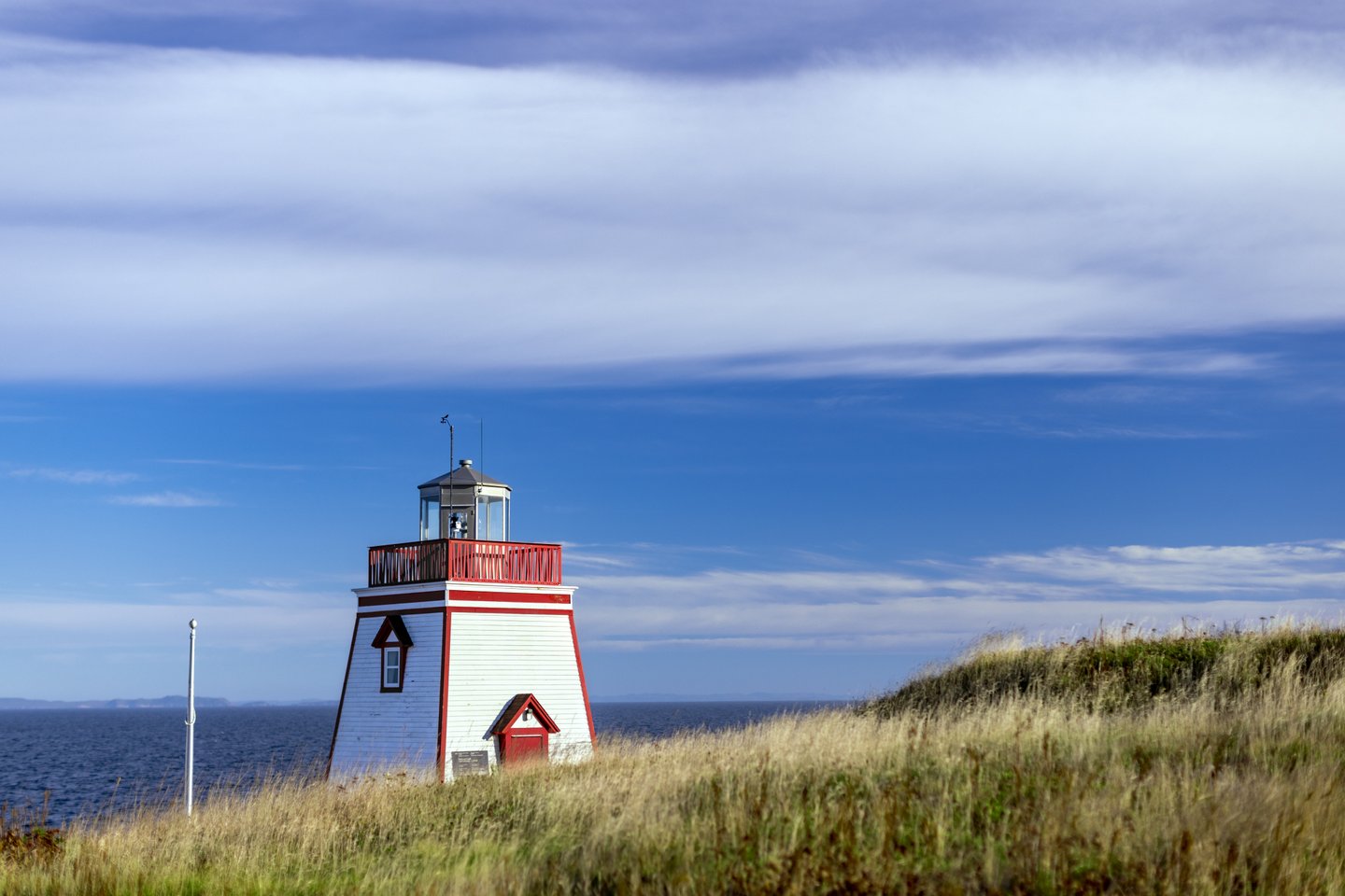 Newfoundland - Image 11