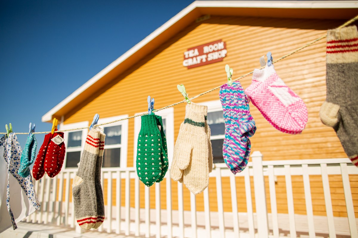 Newfoundland - Image 3