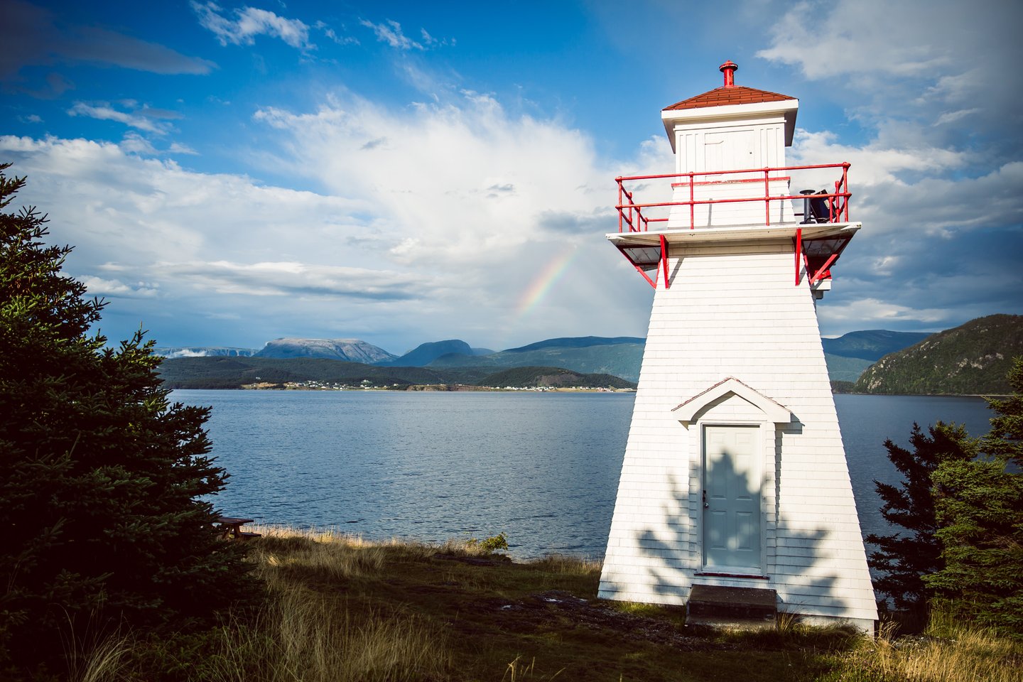 Newfoundland - Image 5