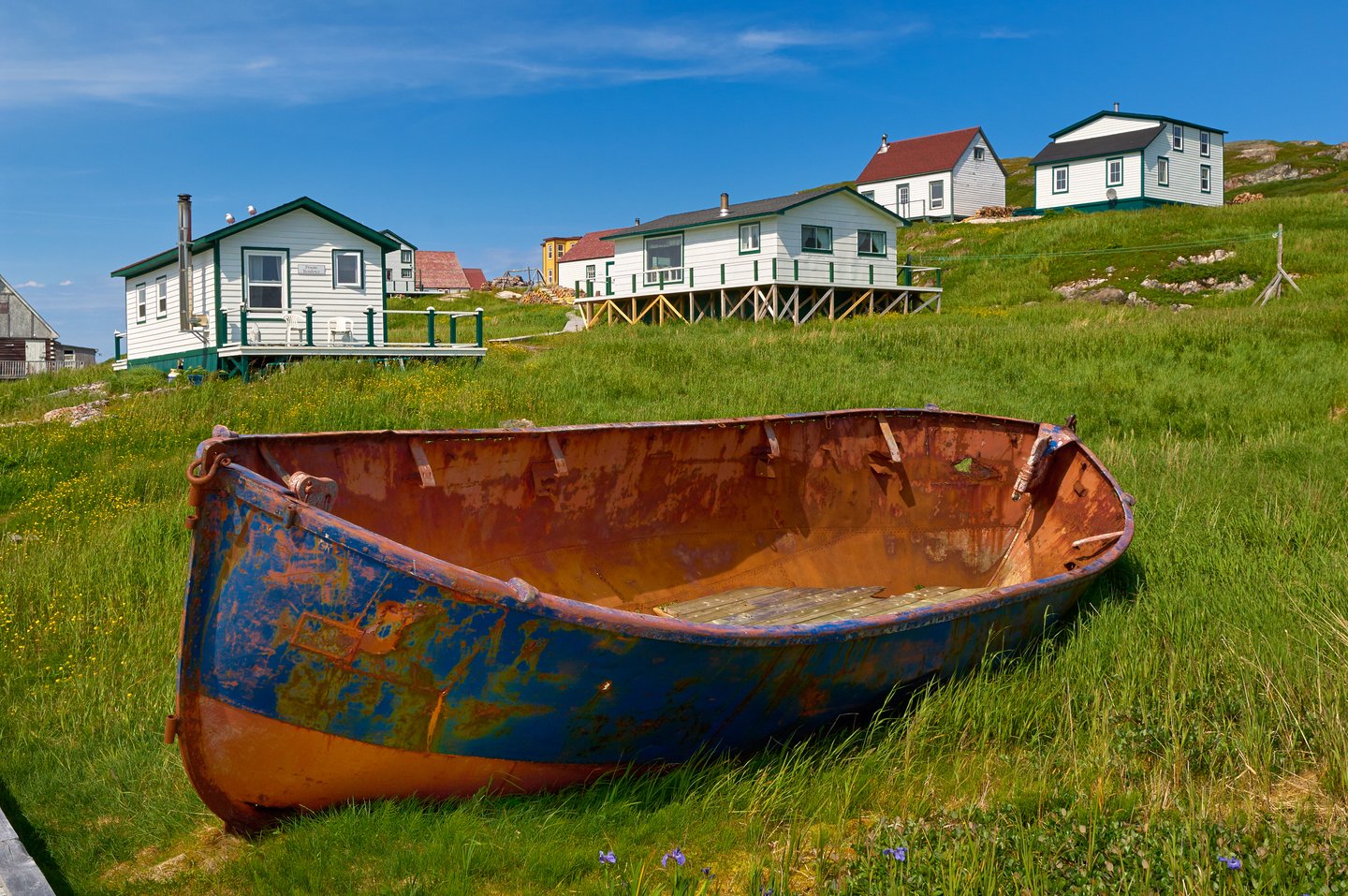 Newfoundland - Image 7