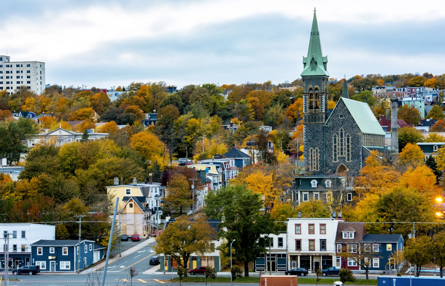 Newfoundland - Image 8