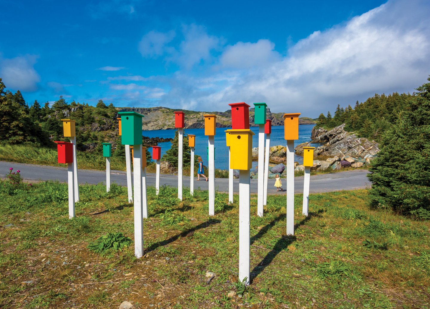 Newfoundland - Image 9