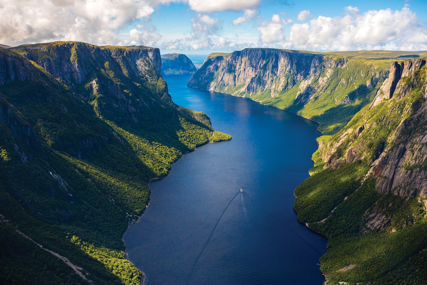 Newfoundland - Image 13