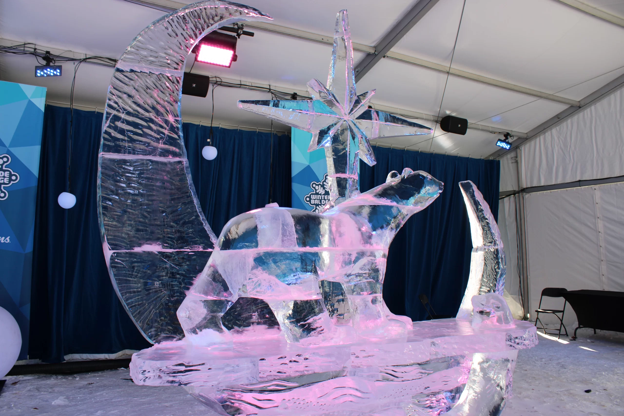 Ottawa Winterlude and Carnaval de Quebec 2027 - Image 7