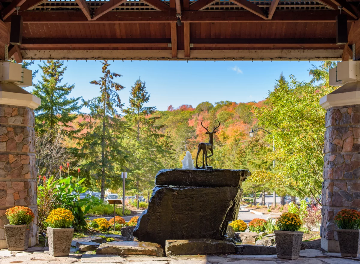 Muskoka "Cottage Country Getaway" - Image 4